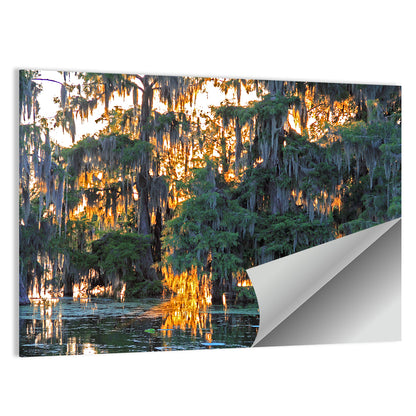 Lake Martin Cypress Reflection Wall Art