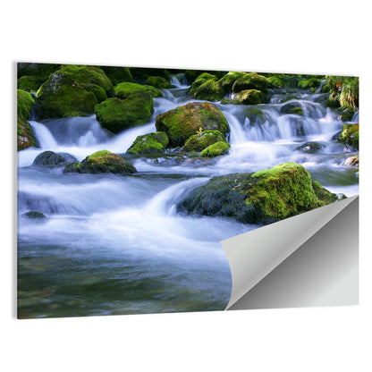 Mossy Forest Stream Wall Art