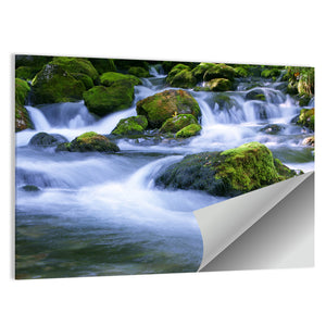 Forest Stream Wall Art