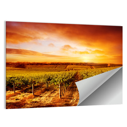 Australian Vineyard Sunset Wall Art