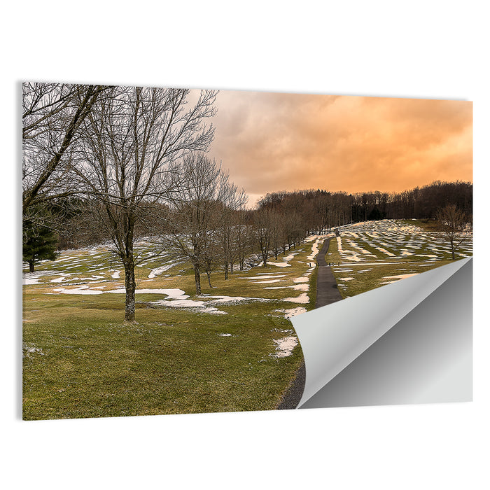 Roscoe Conkling Park Winter Path Wall Art as a poster print