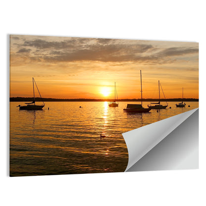 Lake Mendota Golden Sailboats Wall Art