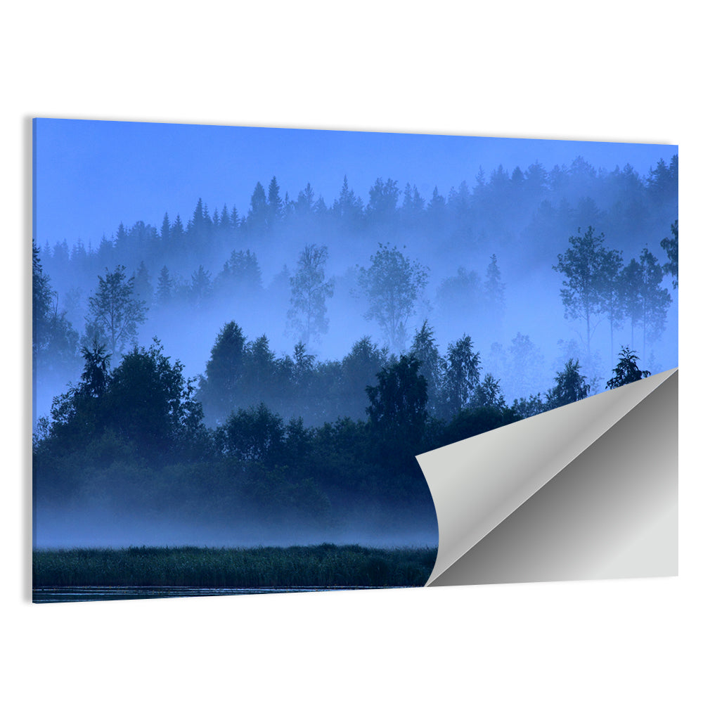 Misty Finnish Nightscape Wall Art