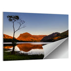 Buttermere Lone Tree Reflection Wall Art