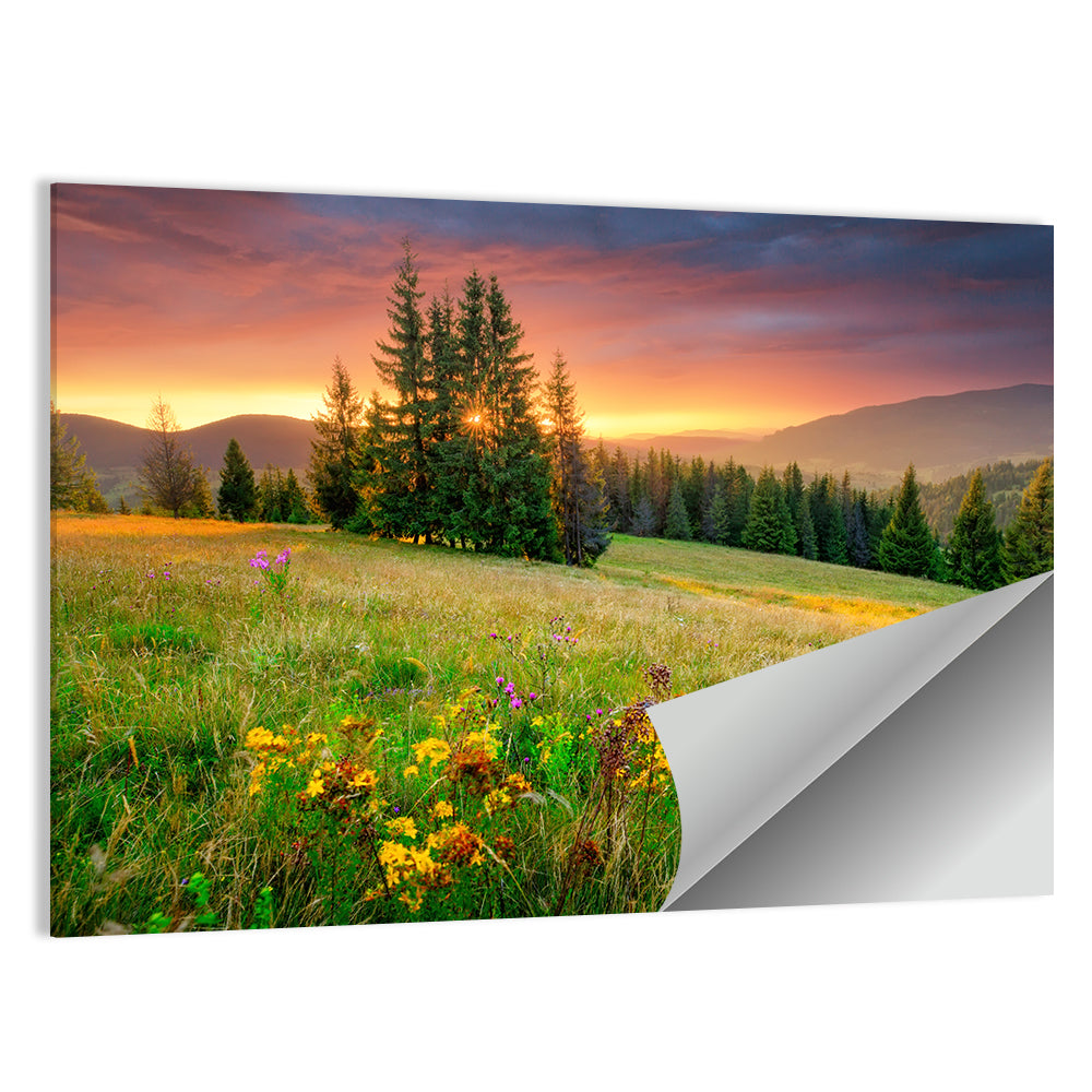 Sunset Meadow with Wildflowers Wall Art