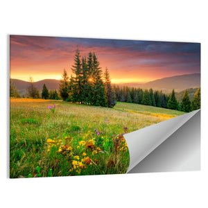 Green Meadow Hills Wall Art