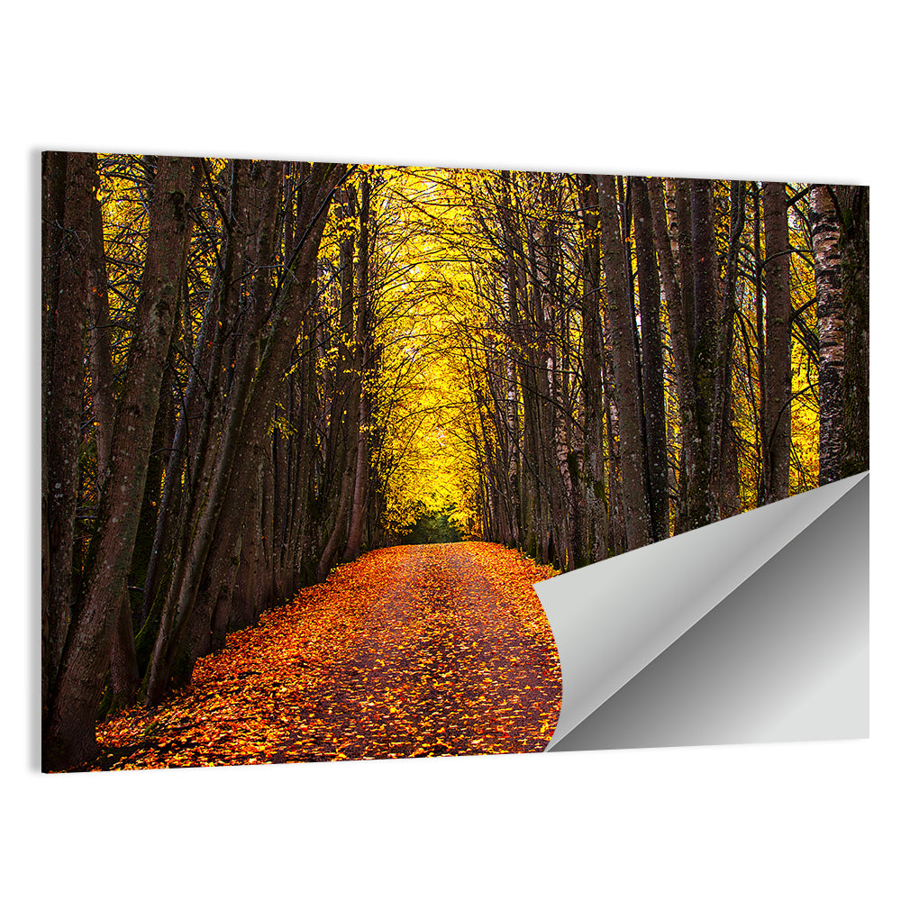 Autumn Park Path Under Yellow Canopy Wall Art