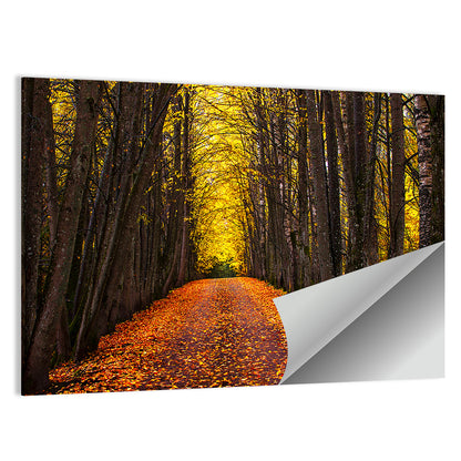 Autumn Park Path Under Yellow Canopy Wall Art