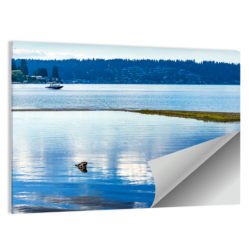 Lake Sammamish Reflection Wall Art