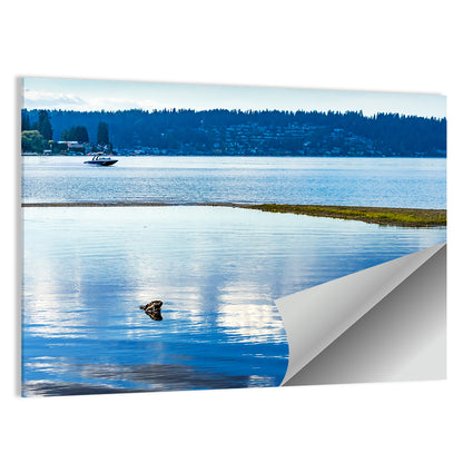 Lake Sammamish Reflection Wall Art