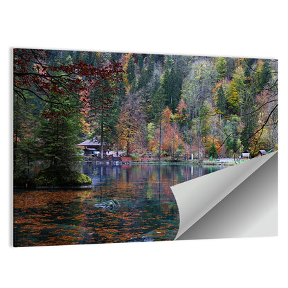 Blausee Lake Reflections Wall Art