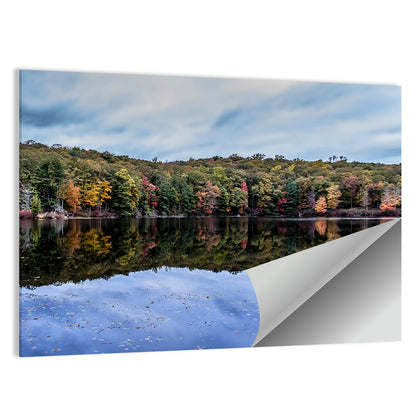 Lake Kanawauke Reflection Wall Art