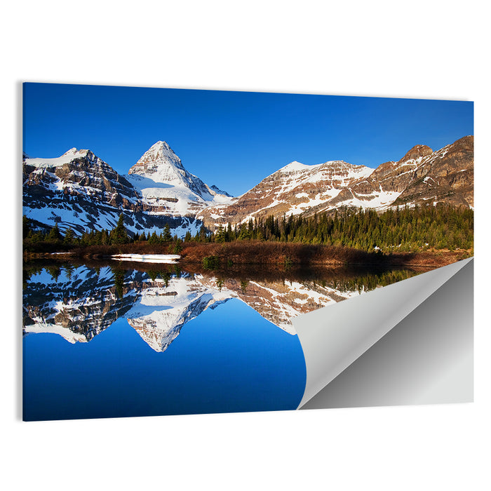 Snowy Mount Assiniboine Wall Art as a poster print