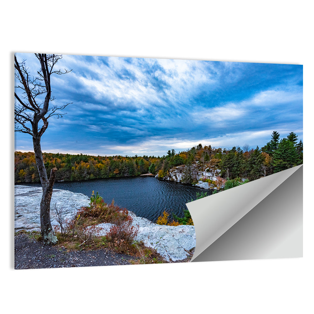 Lake Minnewaska Vista Wall Art
