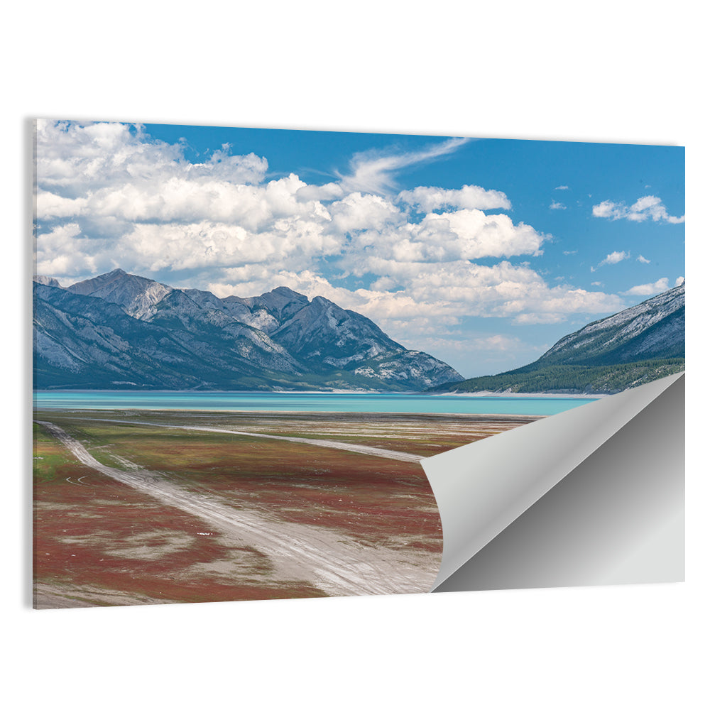 Douglas Fir Trail to Turquoise Lake Wall Art