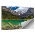 Lake O'hara Reflection Wall Art