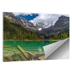 Lake O'hara Reflection Wall Art