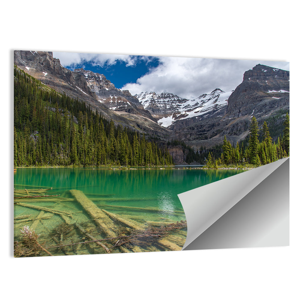 Lake O'hara Reflection Wall Art