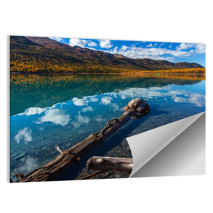 Autumn Driftwood at Eklutna Lake Wall Art