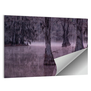 Cypress Trees & Caddo Lake Wall Art