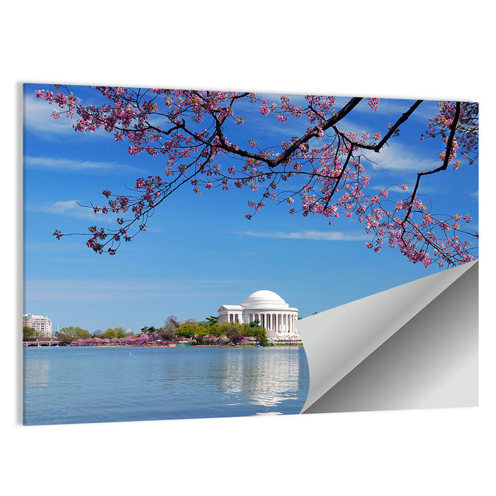 Thomas Jefferson Memorial with Cherry Blossoms Wall Art as a poster print