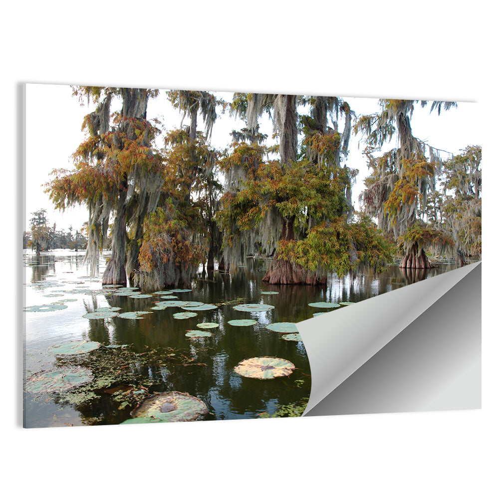 Lake Martin Cypress Swamp Wall Art