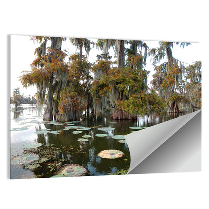 Lake Martin Cypress Swamp Wall Art