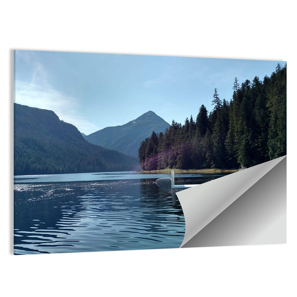 Tongass National Forest Seaplane View Wall Art
