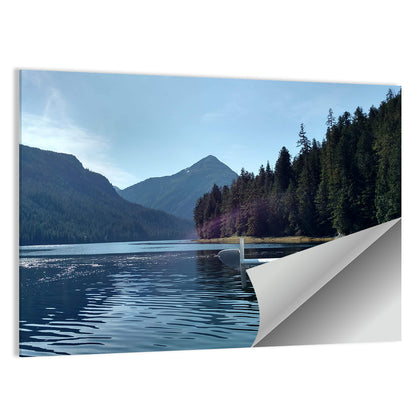 Tongass National Forest Seaplane View Wall Art