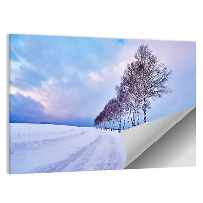 Snowy Birch Road in Hokkaido Wall Art