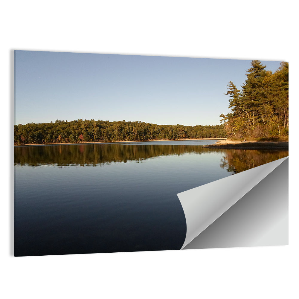 Walden Pond Reflection Wall Art