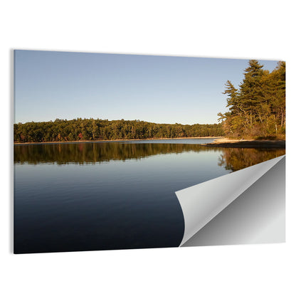 Walden Pond Reflection Wall Art