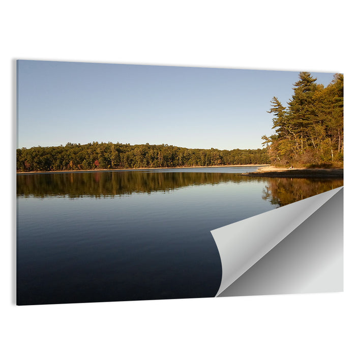 Walden Pond Reflection Wall Art as a poster print
