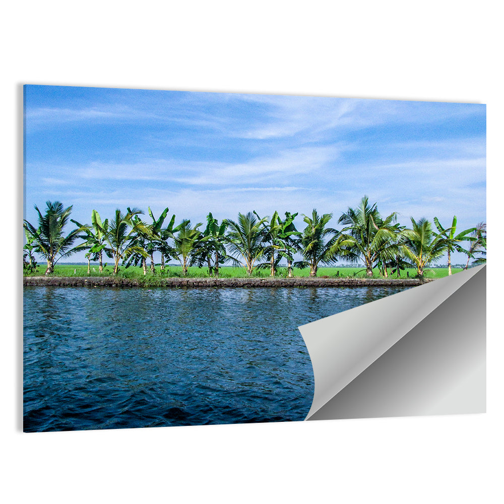 Vembanad Lake Landscape Wall Art