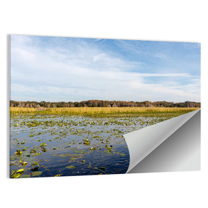 Cloudy Lake Toho Wall Art