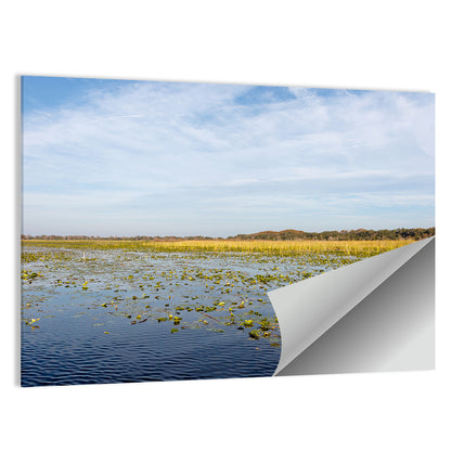 Lake Toho Lily Pads Wall Art