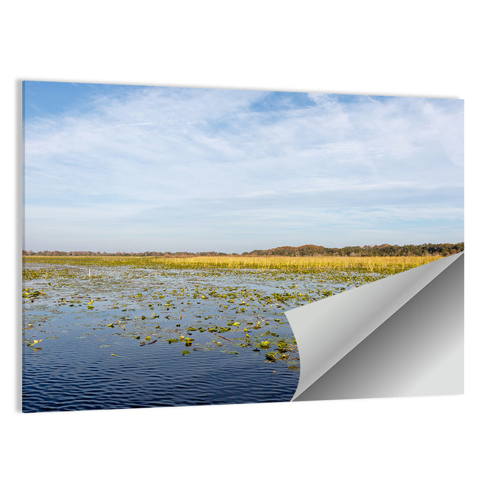 Lake Toho Lily Pads Wall Art as a poster print