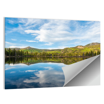 Silver Lake Reflection Wall Art