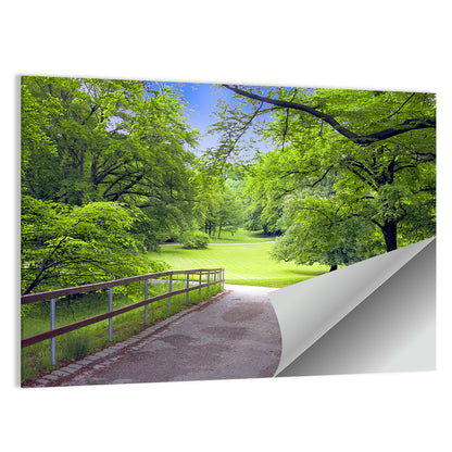 Sunlit Meadow Path Wall Art