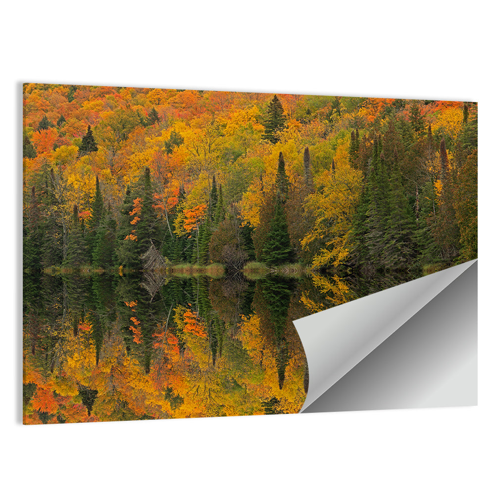 Ottawa National Forest Autumn Reflection Wall Art