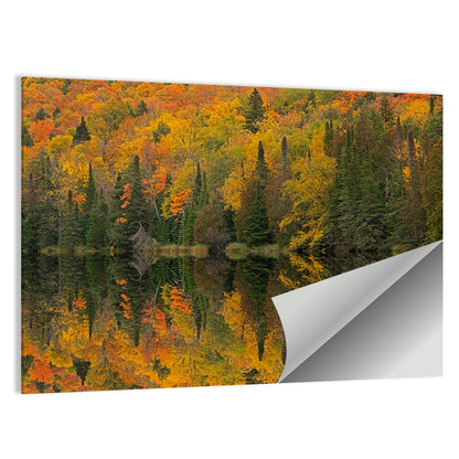 Ottawa National Forest Autumn Reflection Wall Art
