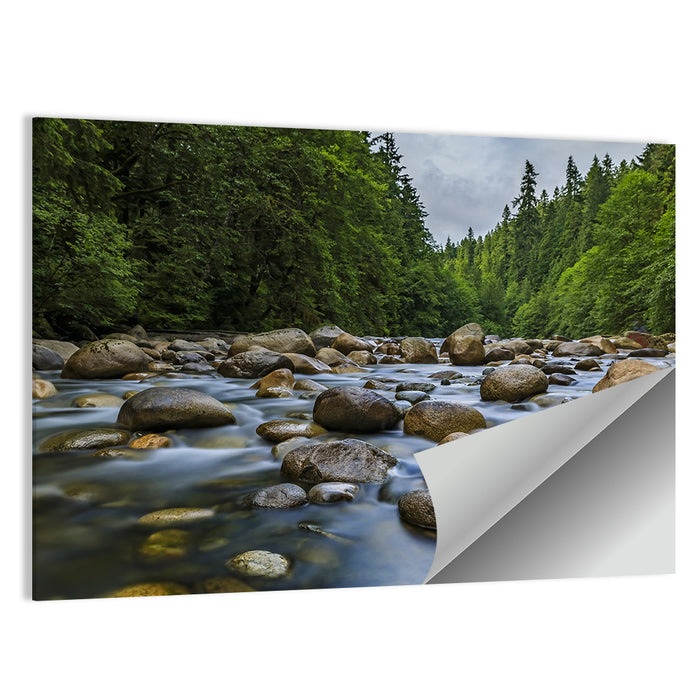 Lynn Canyon Riverbed Forest Wall Art as a poster print