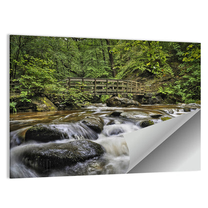 Stock Ghyll Footbridge Forest Stream Wall Art