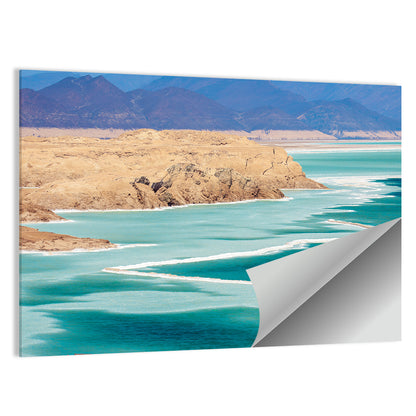 Lake Assal Salt Shoreline Wall Art