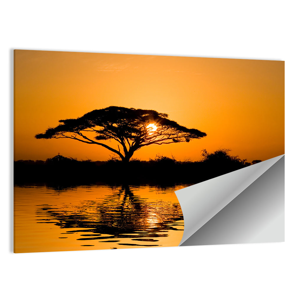 Acacia Tree at Sunrise Wall Art, poster print, landscape