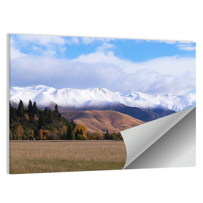 Ben Ohau Mountain Meadow Wall Art as a poster print