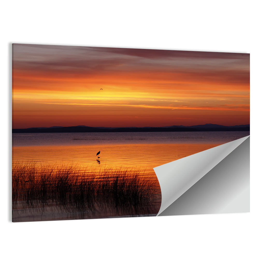 Lake Champlain Sunrise with Heron Wall Art
