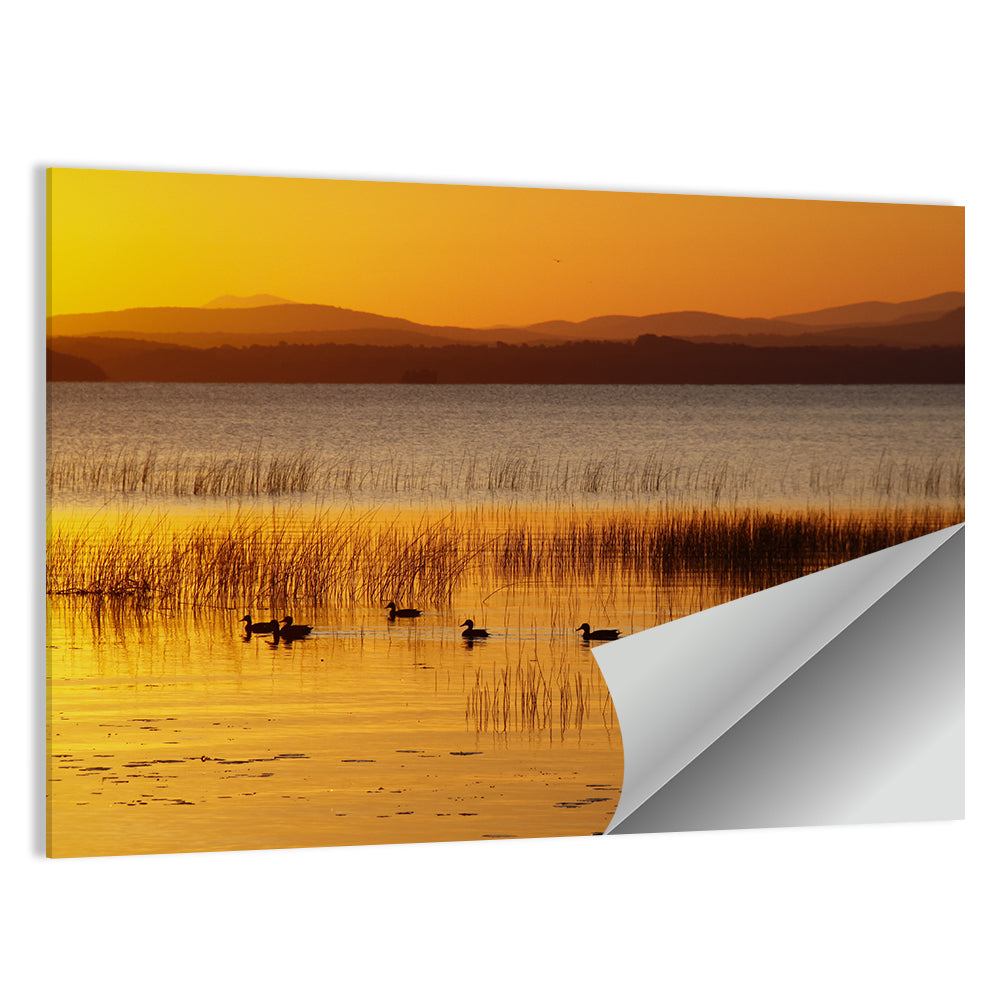 Lake Champlain Golden Sunrise Wall Art