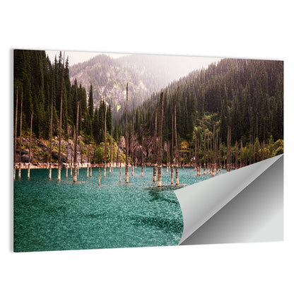 Kaindy Lake Submerged Spruces Wall Art