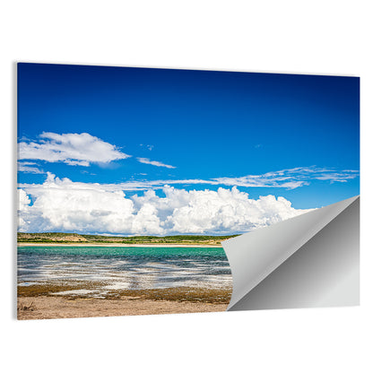 Lake Amistad Shoreline Wall Art